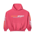 The Raspberry Hills Gold + Vintage Hoodie Pink